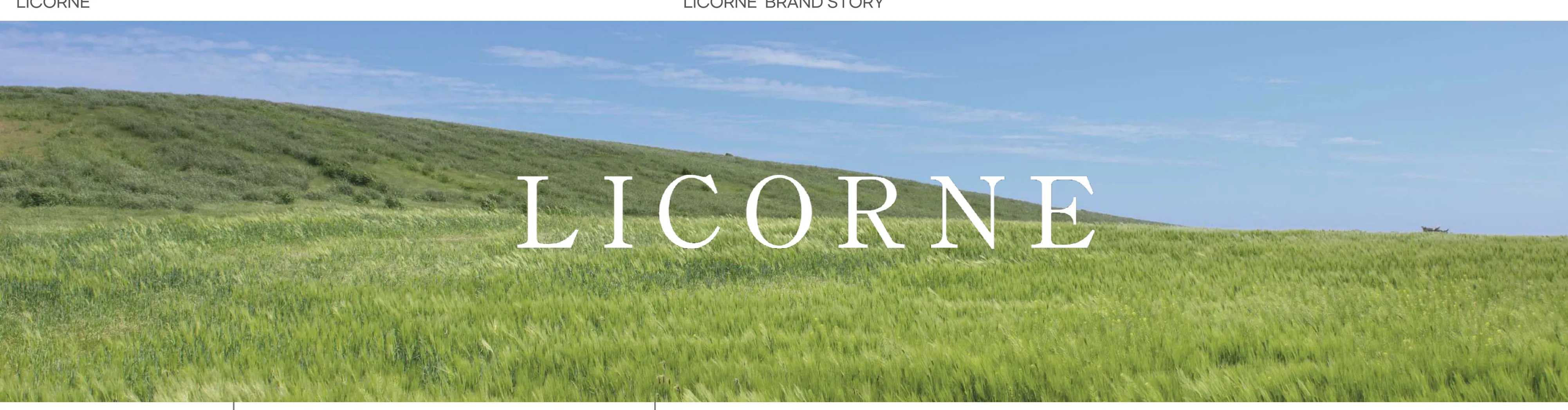 LICORNE Cosmetics — LICORNE Cosmetics от Limetree Co., Ltd. — корейский веган-бренд ухода: увлажнение, осветление, PDRN-вдохновлённое восстановление и успокаивающий dermacare, 29 SKU